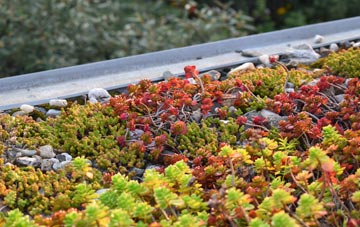 the cost of Kedlock Feus green roof installation